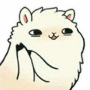 Meet your Posher, Kora